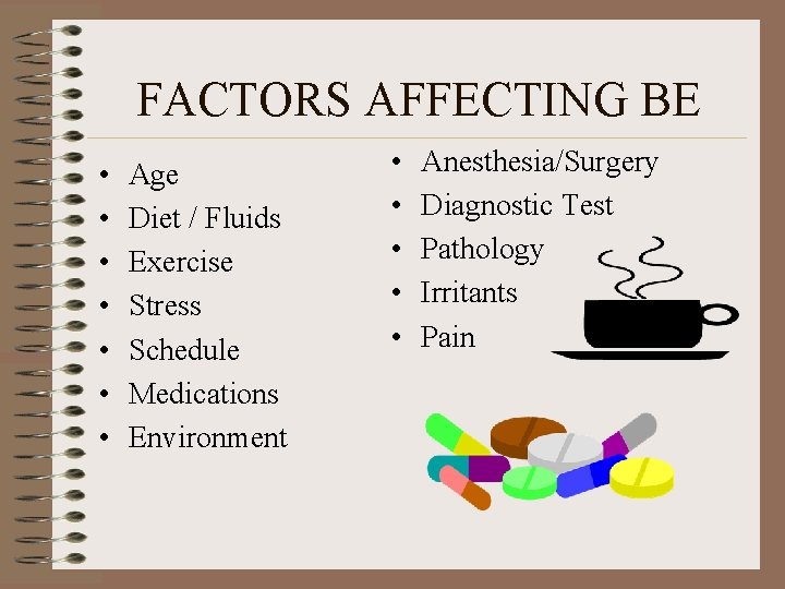 FACTORS AFFECTING BE • • Age Diet / Fluids Exercise Stress Schedule Medications Environment