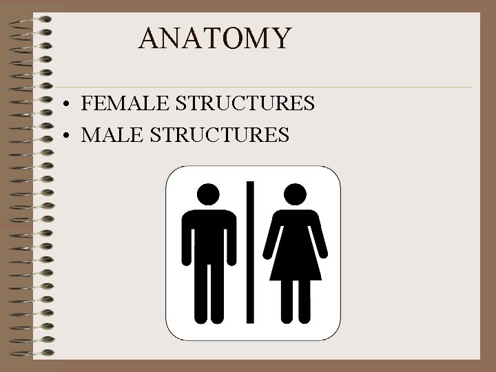 ANATOMY • FEMALE STRUCTURES • MALE STRUCTURES ANATOMY • FEMALE STRUCTURES • MALE STRUCTURES