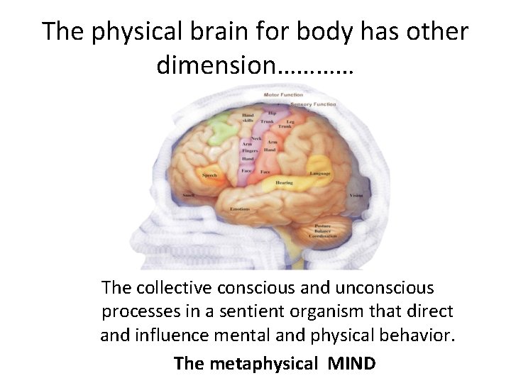 The physical brain for body has other dimension………… The collective conscious and unconscious processes
