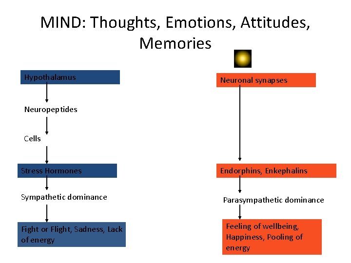 MIND: Thoughts, Emotions, Attitudes, Memories Hypothalamus Neuronal synapses Neuropeptides Cells Stress Hormones Sympathetic dominance