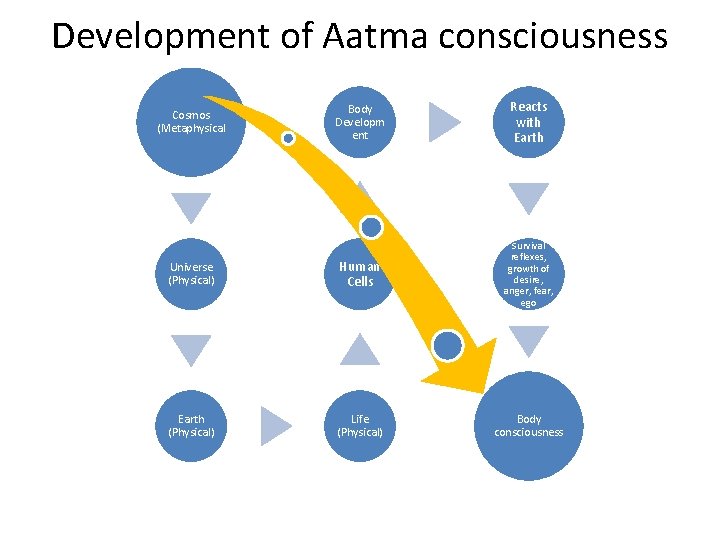 Development of Aatma consciousness Body Developm ent Reacts with Earth Universe (Physical) Human Cells