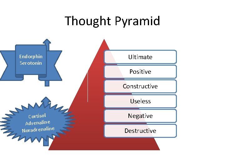 Thought Pyramid Endorphin Serotonin Ultimate Positive Constructive Useless Cortisol Adrenaline Noradrenaline Negative Destructive 