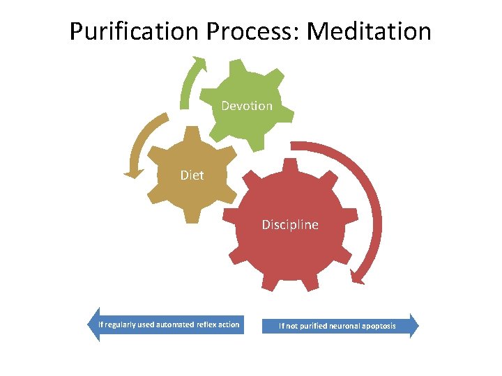 Purification Process: Meditation Devotion Diet Discipline If regularly used automated reflex action If not