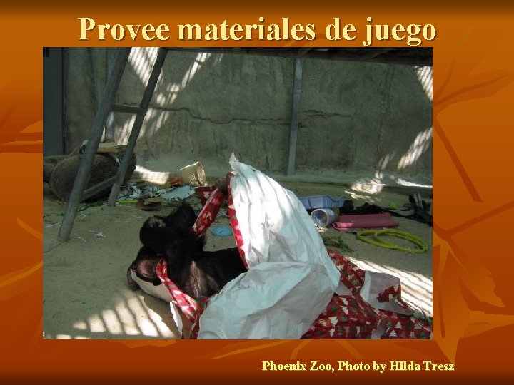 Provee materiales de juego Phoenix Zoo, Photo by Hilda Tresz 