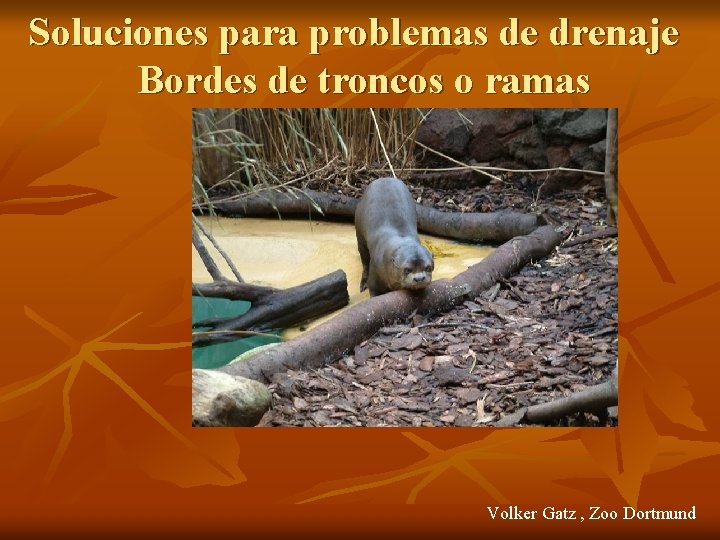 Soluciones para problemas de drenaje Bordes de troncos o ramas Volker Gatz , Zoo