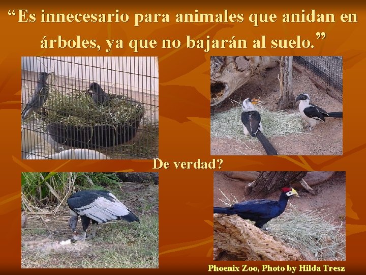 “Es innecesario para animales que anidan en árboles, ya que no bajarán al suelo.