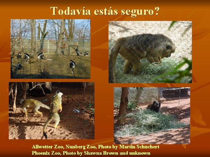 Todavía estás seguro? Allwetter Zoo, Nunberg Zoo, Photo by Martin Schuchert Phoenix Zoo, Photo