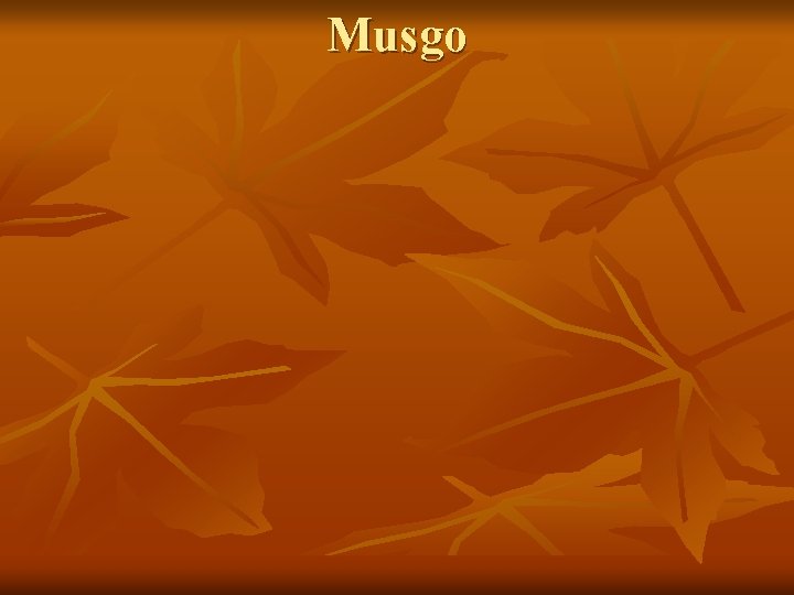 Musgo 
