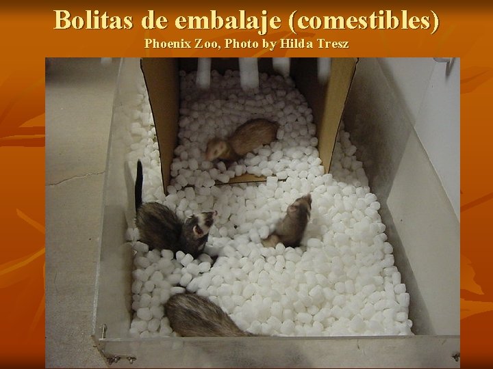 Bolitas de embalaje (comestibles) Phoenix Zoo, Photo by Hilda Tresz 