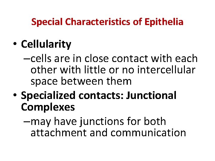 Special Characteristics of Epithelia • Cellularity –cells are in close contact with each other