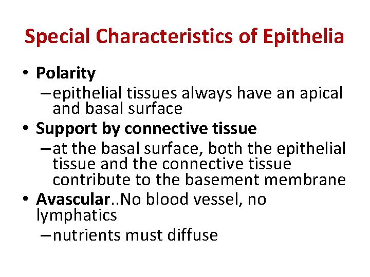 Special Characteristics of Epithelia • Polarity – epithelial tissues always have an apical and