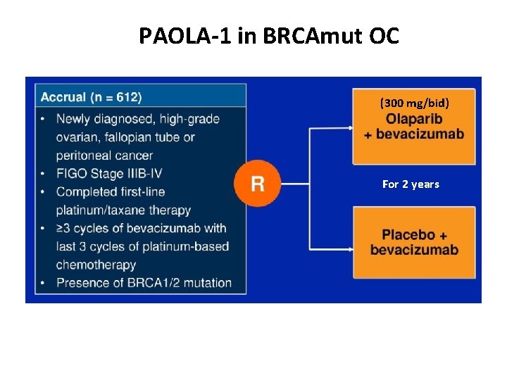 PAOLA-1 in BRCAmut OC (300 mg/bid) For 2 years 