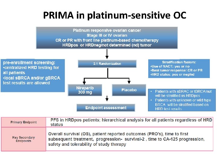 PRIMA in platinum-sensitive OC 