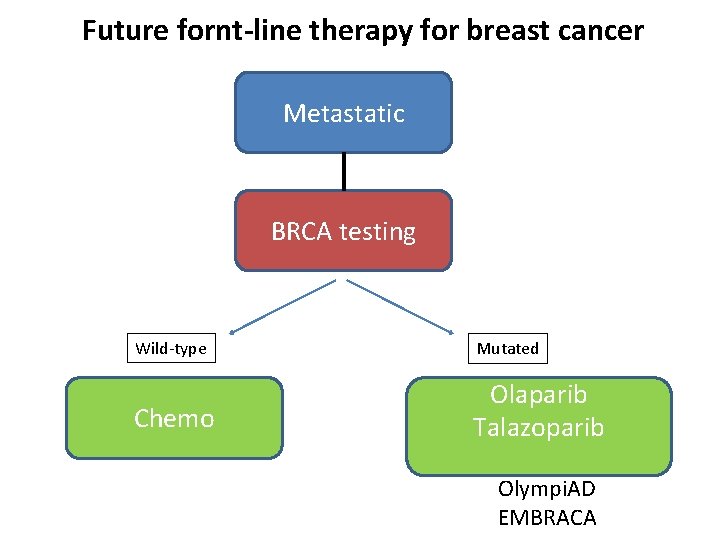 Future fornt-line therapy for breast cancer Metastatic BRCA testing Wild-type Mutated Chemo Olaparib Talazoparib