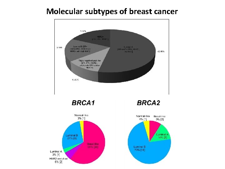 Molecular subtypes of breast cancer 