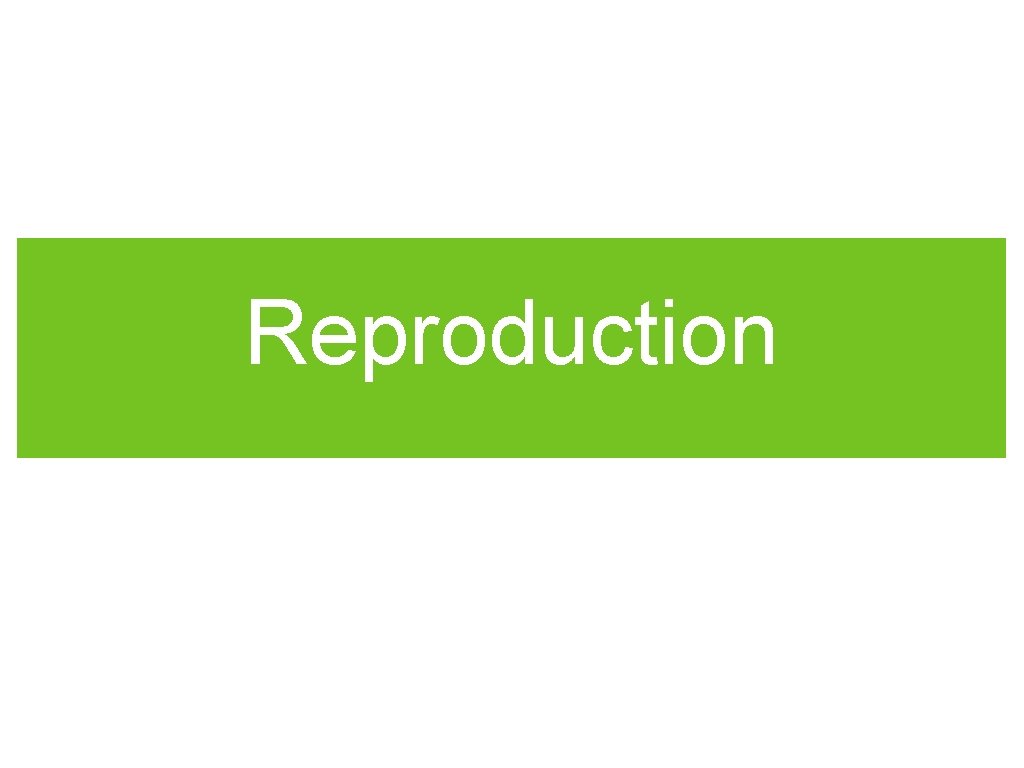 Reproduction 