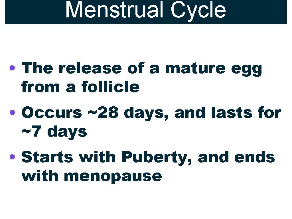 Menstrual Cycle • The release of a mature egg from a follicle • Occurs