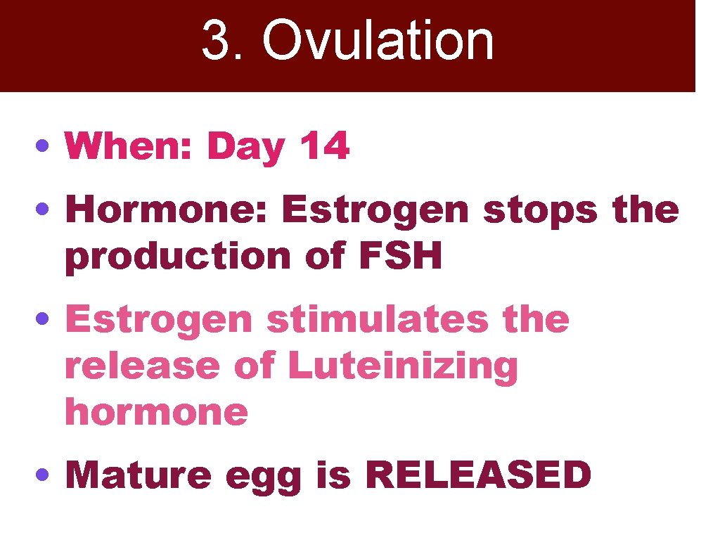 3. Ovulation • When: Day 14 • Hormone: Estrogen stops the production of FSH