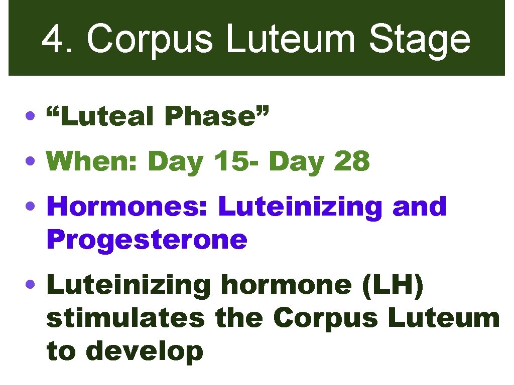 4. Corpus Luteum Stage • “Luteal Phase” • When: Day 15 - Day 28