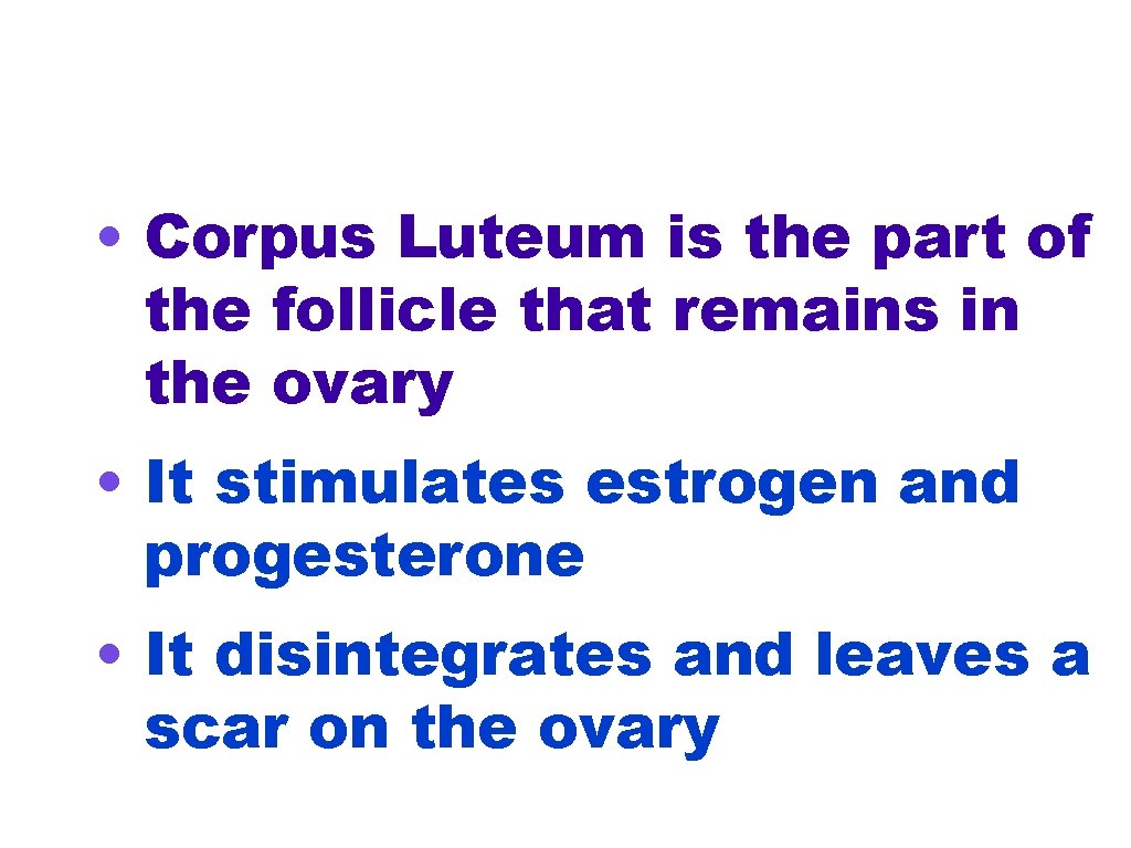  • Corpus Luteum is the part of the follicle that remains in the