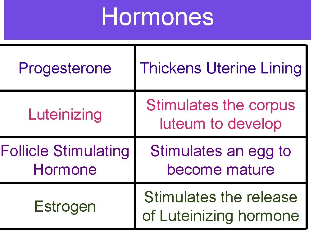 Hormones Progesterone Thickens Uterine Lining Luteinizing Stimulates the corpus luteum to develop Follicle Stimulating