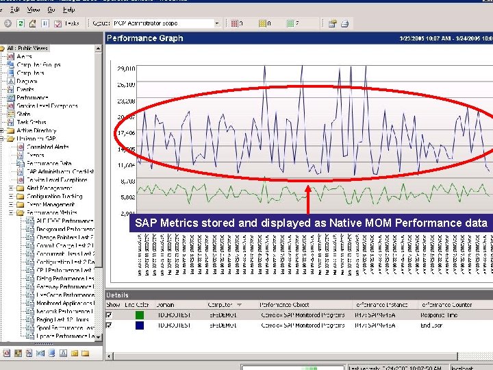 SAP Metrics stored and displayed as Native MOM Performance data 