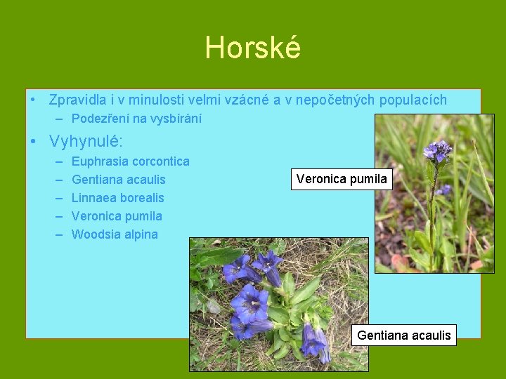 Horské • Zpravidla i v minulosti velmi vzácné a v nepočetných populacích – Podezření