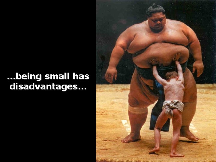 …being small has disadvantages… 