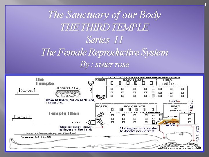 1 The Sanctuary of our Body THE THIRD TEMPLE Series 11 The Female Reproductive