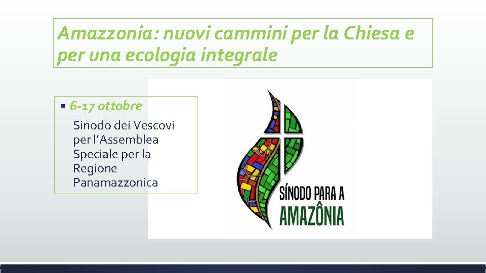Amazzonia: nuovi cammini per la Chiesa e per una ecologia integrale § 6 -17