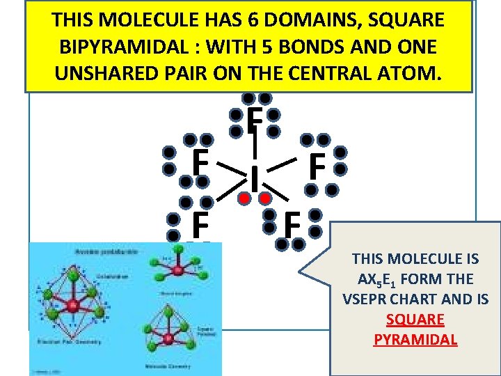 THIS MOLECULE HAS 6 DOMAINS, SQUARE BIPYRAMIDAL : WITH 5 BONDS AND ONE UNSHARED THIS MOLECULE HAS 6 DOMAINS, SQUARE BIPYRAMIDAL : WITH 5 BONDS AND ONE UNSHARED