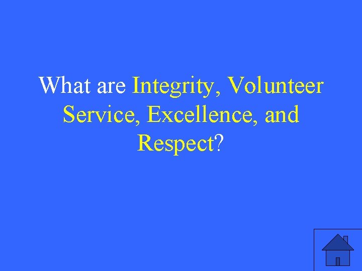 What are Integrity, Volunteer Service, Excellence, and Respect? 