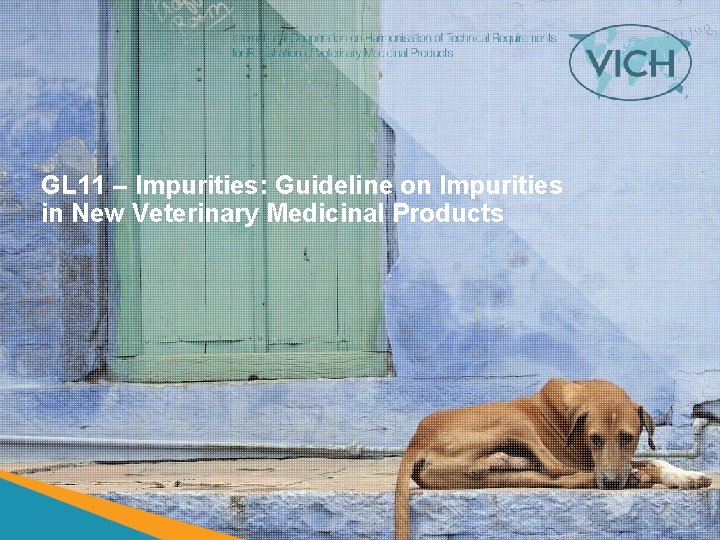 GL 11 – Impurities: Guideline on Impurities in New Veterinary Medicinal Products 