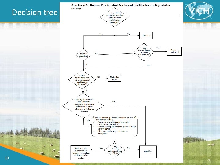 Decision tree 18 