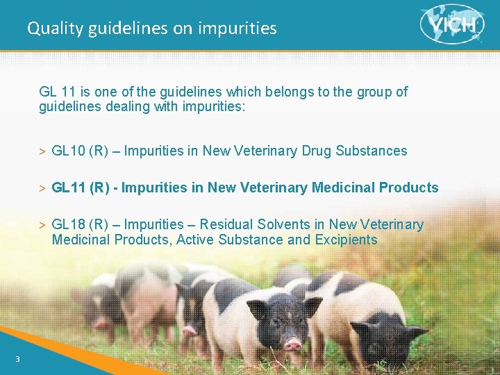 Quality guidelines on impurities GL 11 is one of the guidelines which belongs to