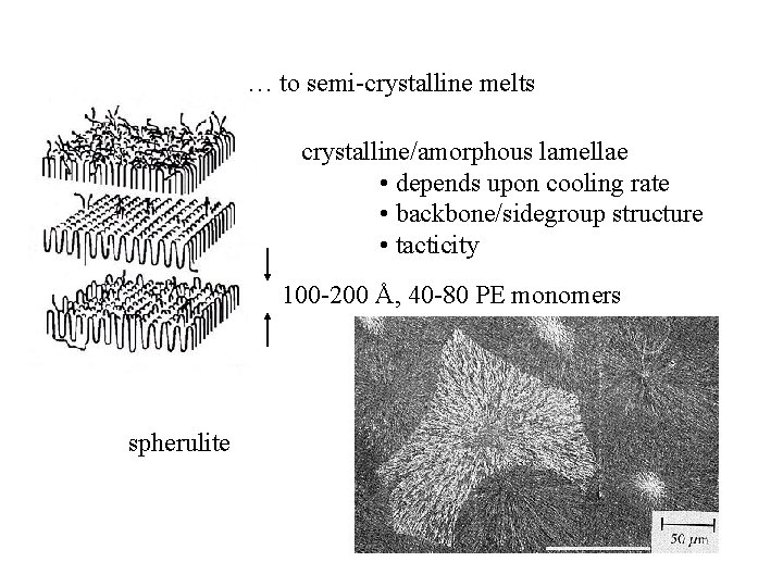 … to semi-crystalline melts crystalline/amorphous lamellae • depends upon cooling rate • backbone/sidegroup structure … to semi-crystalline melts crystalline/amorphous lamellae • depends upon cooling rate • backbone/sidegroup structure