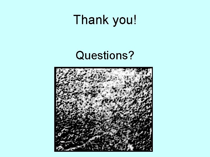 Thank you! Questions? Thank you! Questions?