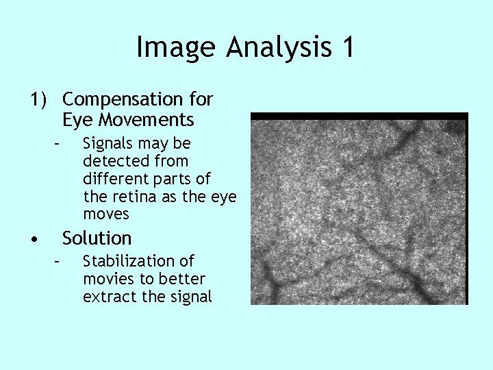Image Analysis 1 1) Compensation for Eye Movements – • Signals may be detected Image Analysis 1 1) Compensation for Eye Movements – • Signals may be detected