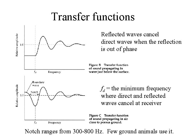 Transfer functions Reflected waves cancel direct waves when the reflection is out of phase