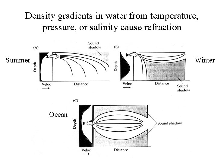 Density gradients in water from temperature, pressure, or salinity cause refraction Summer Winter Ocean