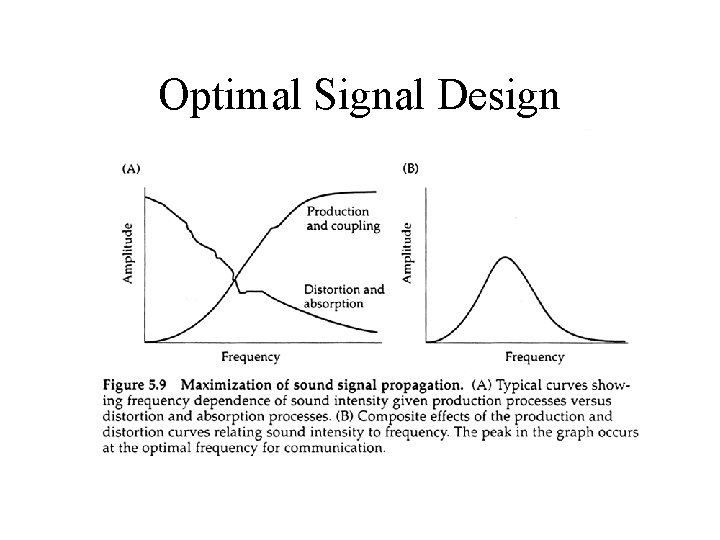Optimal Signal Design 