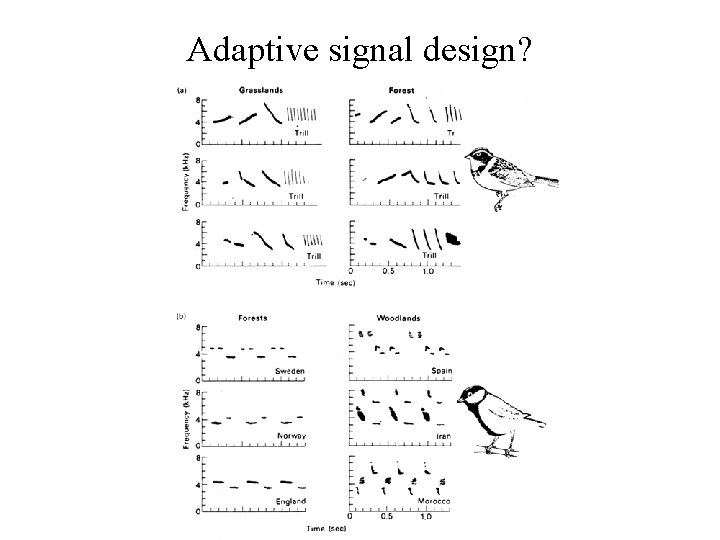 Adaptive signal design? 
