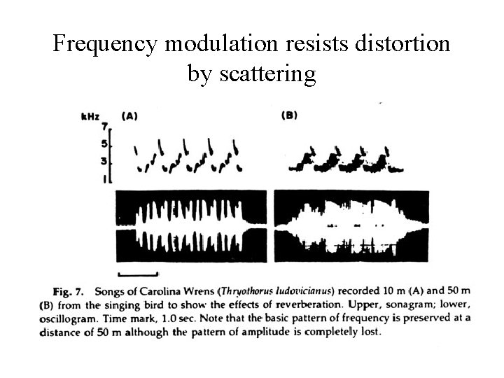 Frequency modulation resists distortion by scattering 