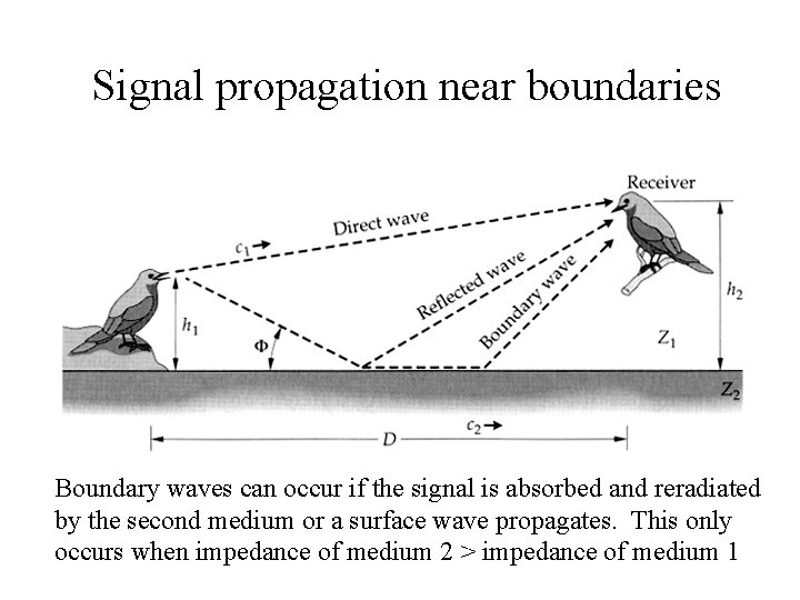 Signal propagation near boundaries Boundary waves can occur if the signal is absorbed and