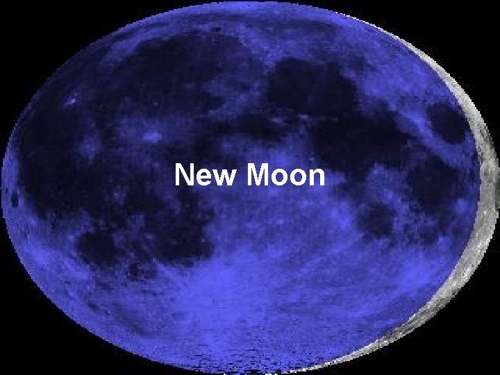 New Moon 