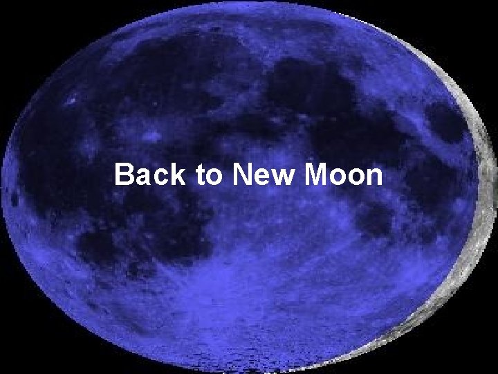 Back to New Moon 