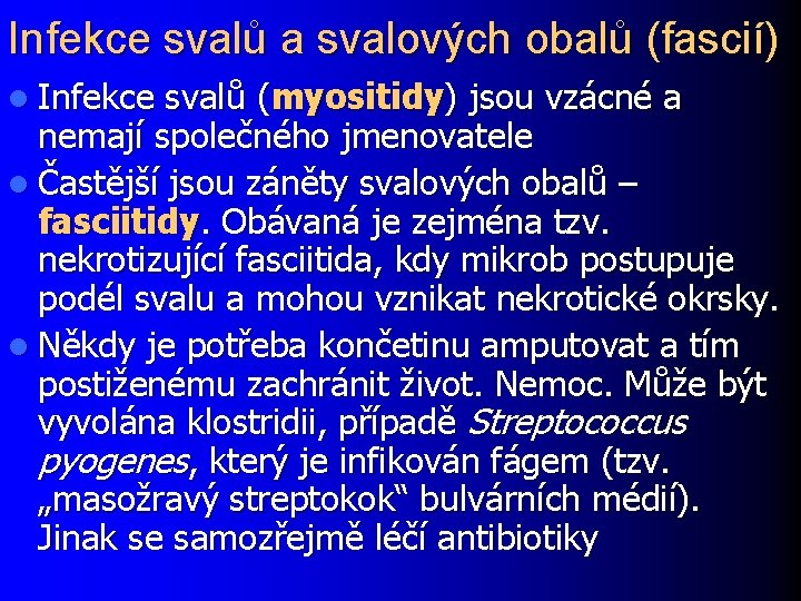 Infekce svalů a svalových obalů (fascií) l Infekce svalů (myositidy) jsou vzácné a nemají