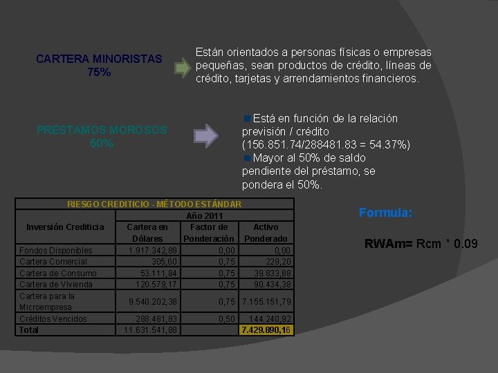 CARTERA MINORISTAS 75% PRÉSTAMOS MOROSOS 50% Están orientados a personas físicas o empresas pequeñas,