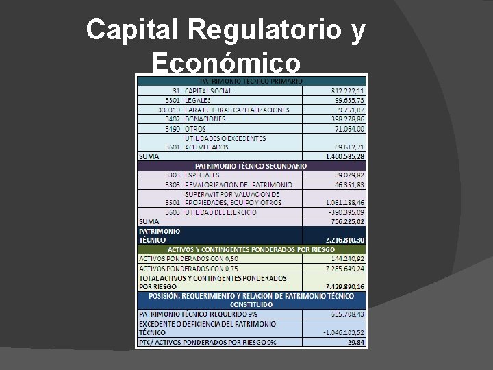 Capital Regulatorio y Económico 