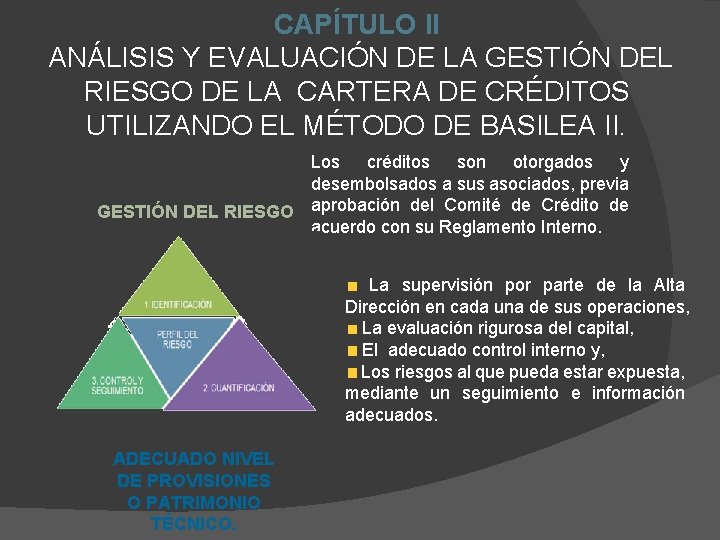 CAPÍTULO II ANÁLISIS Y EVALUACIÓN DE LA GESTIÓN DEL RIESGO DE LA CARTERA DE